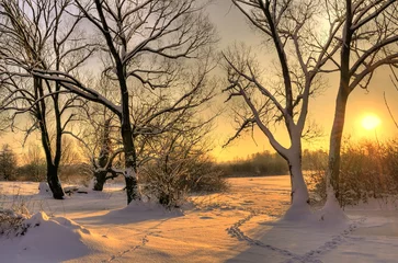 Keuken foto achterwand Winter Prachtige winterzonsondergang met bomen in de sneeuw