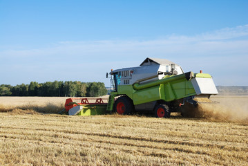 Obraz premium Cleaning of a wheaten field by a combine