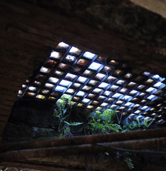Oberlicht in Seattle
