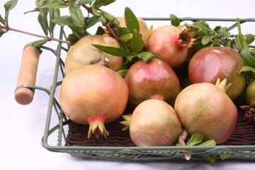 grenades,Punica granatum