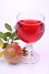 grenades,Punica granatum