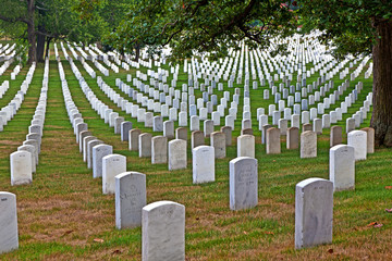Headstones at the Arlington national Cemetery