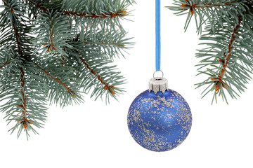 Christmas evergreen spruce tree with glass ball