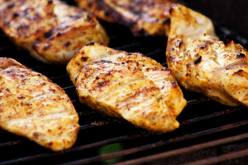 chicken