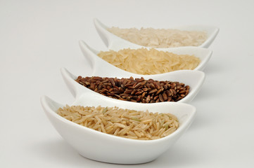 Four rice varieties