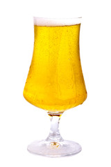 Beer, completely isolated on white background