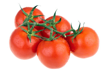 Tomaten, schattenfrei auf weiß