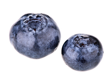 blueberries macro