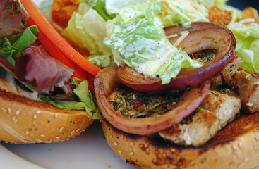 Grilled fish burger with Caesar, shallow DOF