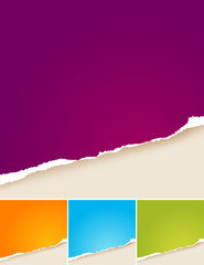 4 colored vector ripped papers.
