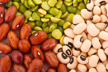 Various legumes
