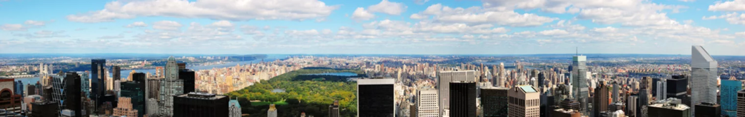 Keuken foto achterwand Central Park Panoramic skyline of New York City north from midtown.