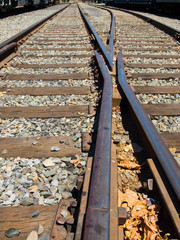 Old Railroad Tracks at a Junction on a Sunny Day