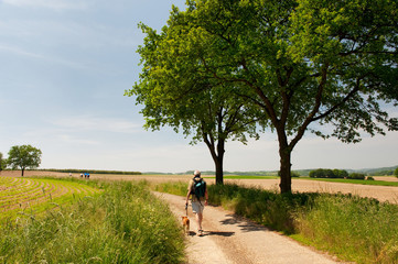 Dutch landscape with walking man © Ivonne Wierink