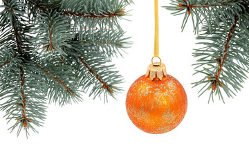 Christmas evergreen tree with glass ball