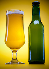 Beer collection, fresh