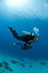 underwater photographer swims with camera