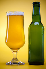 Beer collection, fresh