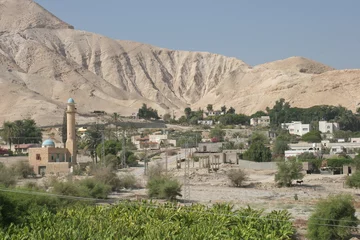 Gordijnen Surrounded by desert and palm trees, city of Jericho, Israel. © zatletic