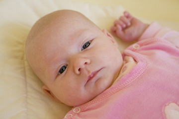baby's portrait