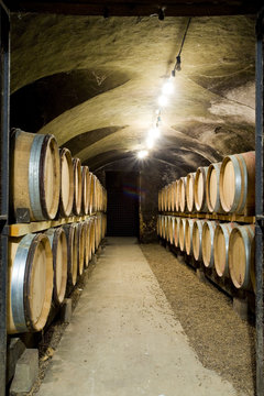 wine cellar, Buxy, Burgundy, France
