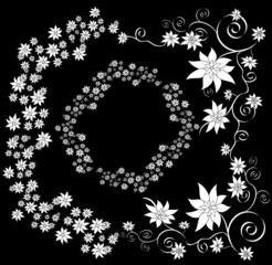 white flowers background