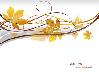 beautiful abstract background with autumn leaves