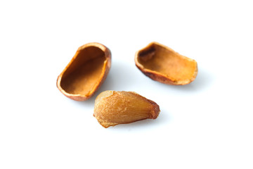 pine cone on a white background. isolated object