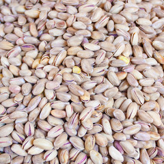 pistachio