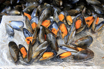 dégustation de moules