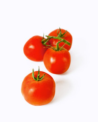 tomatoes on white