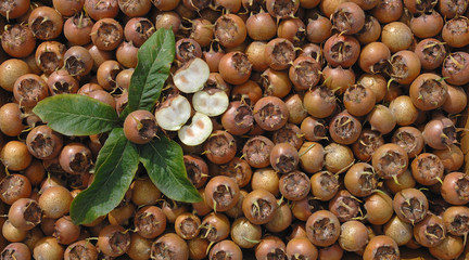 r&eacute;colte de n&egrave;fles