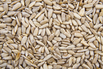 Sunflower seed