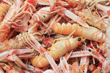 écrevisses de mer