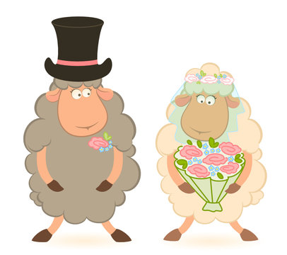 Cartoon sheep bridegroom and bride