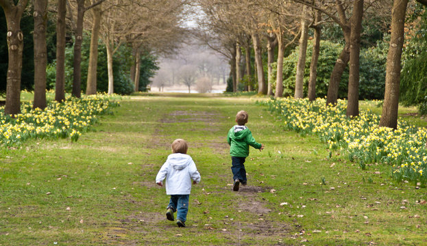 Two young boys run down a country lane lined with daffodils