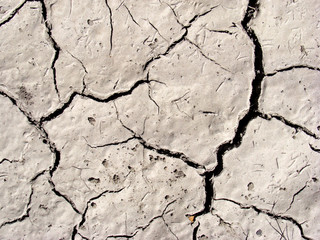 Cracked arid soil