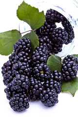 Blackberries
