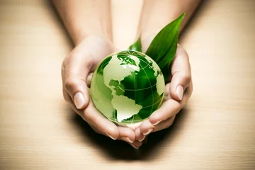 Fotobehang concept écologie planète terre verte © Beboy
