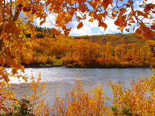 Colorful fall foliage along the Bow River, Calgary, Canada