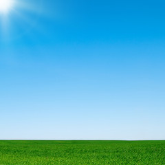 Fototapeta premium landscape