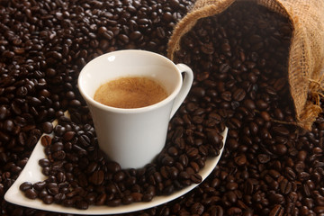 un vrai robusta