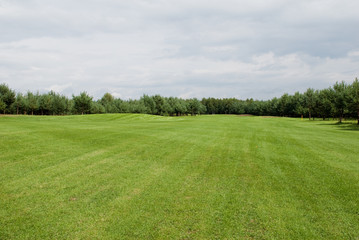 Golf field