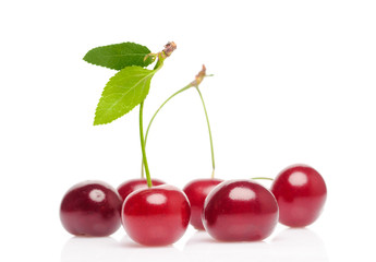 Cherry