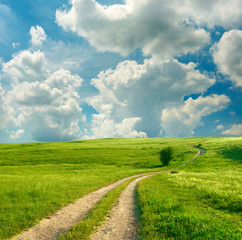 Fototapeta na wymiar Latem krajobraz z zielona trawa, drogowego i chmury