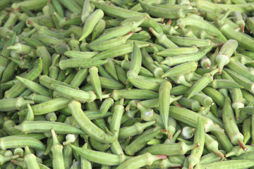 Okra, Gemüse-Eibisch