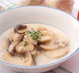Pilzsuppe