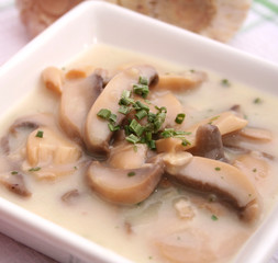Champignonsuppe