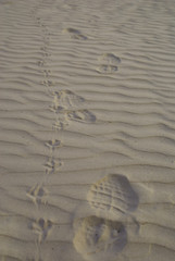 Sand