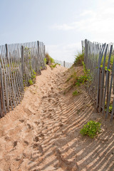 Walkway to a beach in North carolina vertical